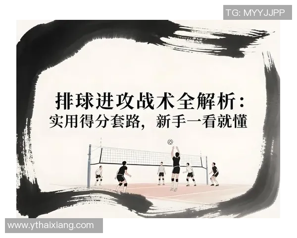 深入分析北京排球队快攻战术的特点与优势